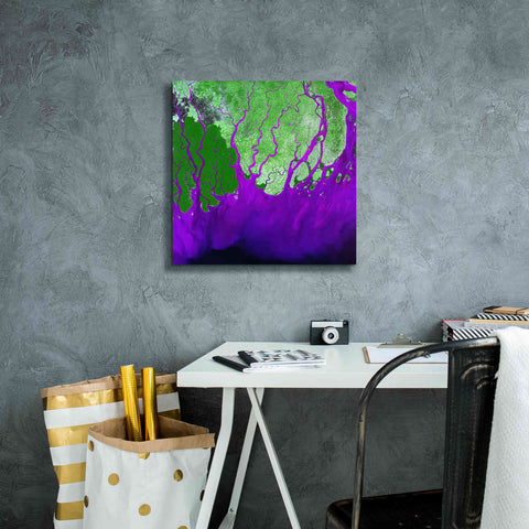 Image of 'Earth as Art: Ganges RIver Delta' Canvas Wall Art,18 x 18