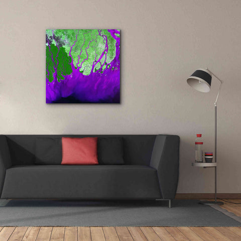 Image of 'Earth as Art: Ganges RIver Delta' Canvas Wall Art,37 x 37