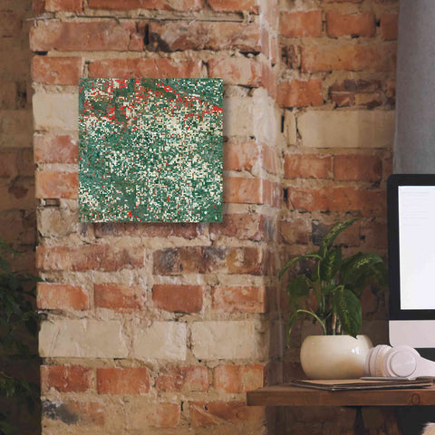Image of 'Earth as Art: Garden City' Canvas Wall Art,12 x 12