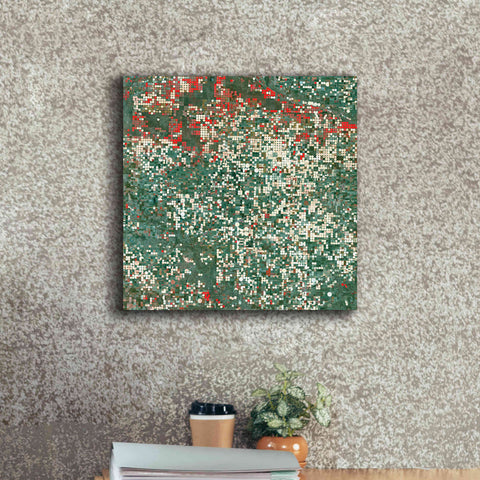 Image of 'Earth as Art: Garden City' Canvas Wall Art,18 x 18