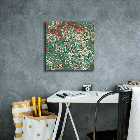 Image of 'Earth as Art: Garden City' Canvas Wall Art,18 x 18
