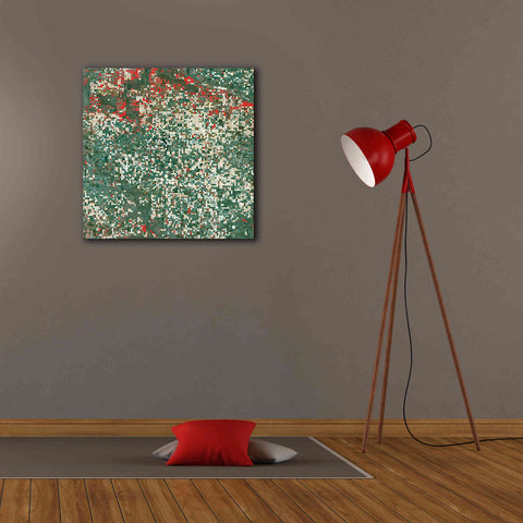 Image of 'Earth as Art: Garden City' Canvas Wall Art,26 x 26