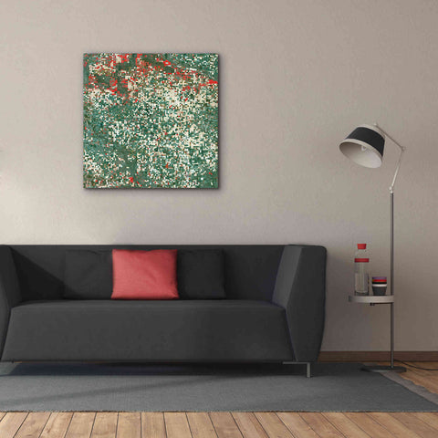 Image of 'Earth as Art: Garden City' Canvas Wall Art,37 x 37