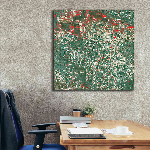 Image of 'Earth as Art: Garden City' Canvas Wall Art,37 x 37