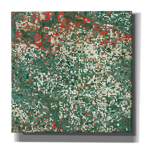 Image of 'Earth as Art: Garden City' Canvas Wall Art