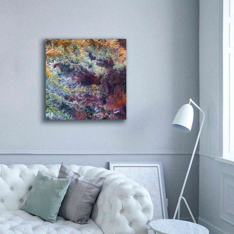 Image of 'Earth as Art: Ghadamis River' Canvas Wall Art,37 x 37