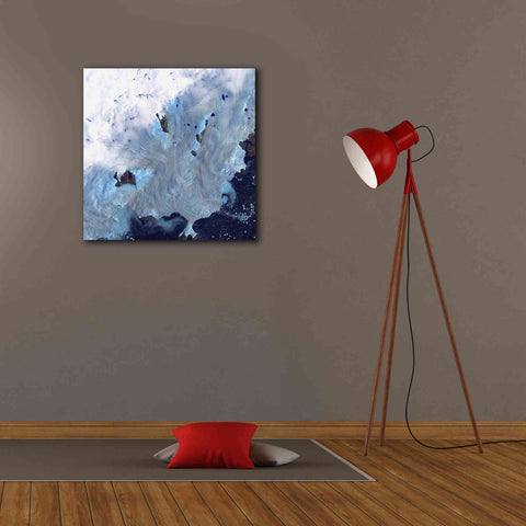 Image of 'Earth as Art: Greenland Coast' Canvas Wall Art,26 x 26