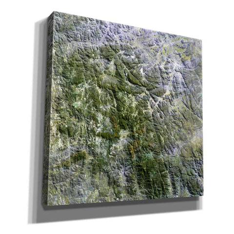 Image of 'Earth as Art: Namaqualand ' Canvas Wall Art