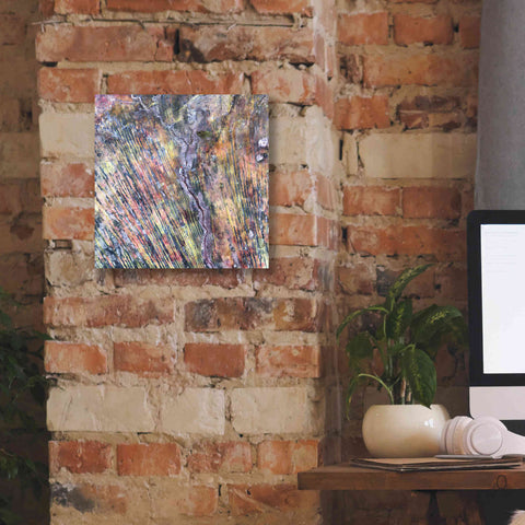 Image of 'Earth as Art: The Optimist' Canvas Wall Art,12 x 12