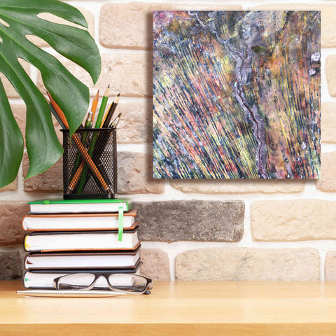 Image of 'Earth as Art: The Optimist' Canvas Wall Art,12 x 12