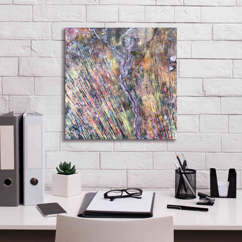 Image of 'Earth as Art: The Optimist' Canvas Wall Art,18 x 18
