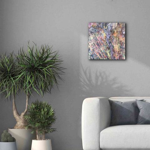 Image of 'Earth as Art: The Optimist' Canvas Wall Art,18 x 18