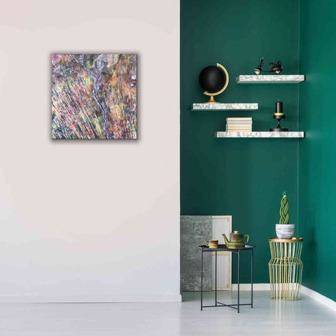 Image of 'Earth as Art: The Optimist' Canvas Wall Art,26 x 26
