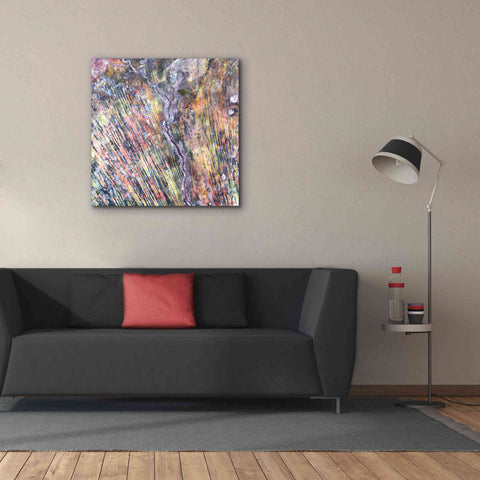 Image of 'Earth as Art: The Optimist' Canvas Wall Art,37 x 37
