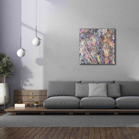 Image of 'Earth as Art: The Optimist' Canvas Wall Art,37 x 37