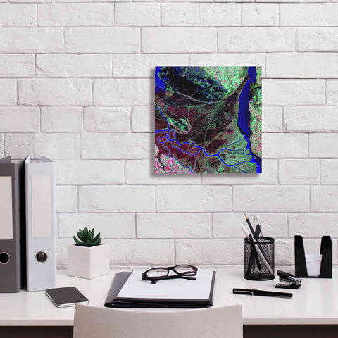 Image of 'Earth as Art: Parana River Delta' Canvas Wall Art,12 x 12