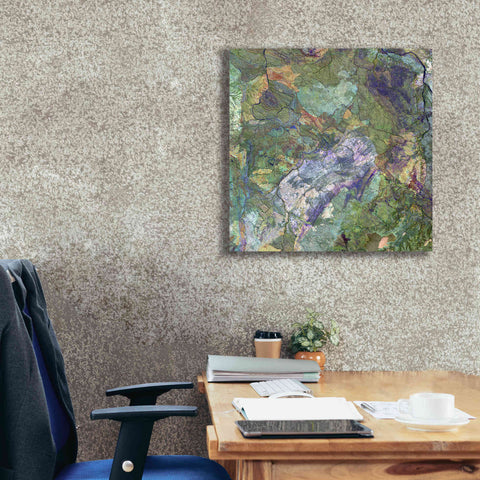 Image of 'Earth as Art: Great Sandy Desert' Canvas Wall Art,26 x 26