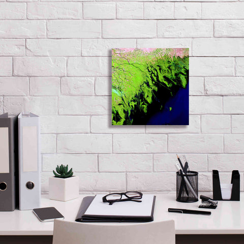 Image of 'Earth as Art: Volga River Delta' Canvas Wall Art,12 x 12