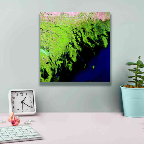 Image of 'Earth as Art: Volga River Delta' Canvas Wall Art,12 x 12