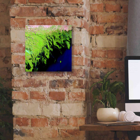 Image of 'Earth as Art: Volga River Delta' Canvas Wall Art,12 x 12