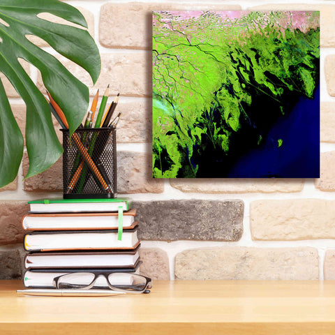 Image of 'Earth as Art: Volga River Delta' Canvas Wall Art,12 x 12