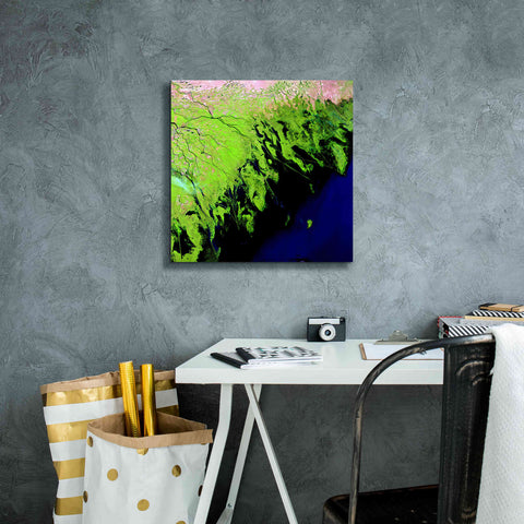 Image of 'Earth as Art: Volga River Delta' Canvas Wall Art,18 x 18