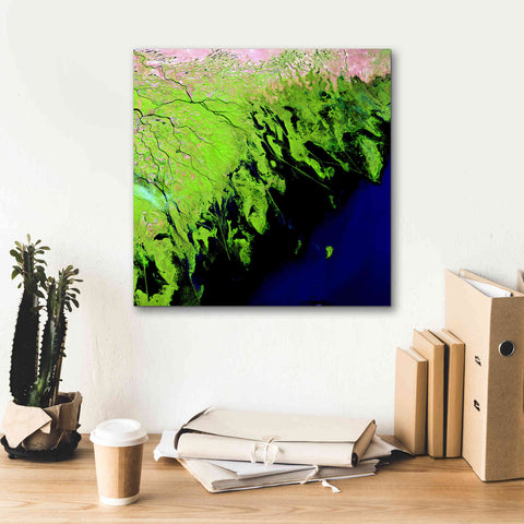 Image of 'Earth as Art: Volga River Delta' Canvas Wall Art,18 x 18