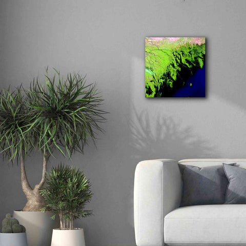 Image of 'Earth as Art: Volga River Delta' Canvas Wall Art,18 x 18