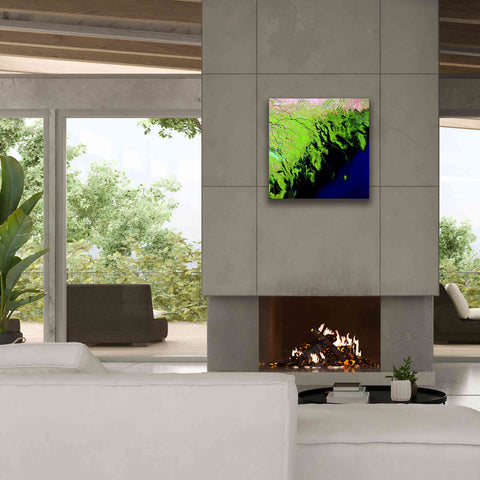 Image of 'Earth as Art: Volga River Delta' Canvas Wall Art,26 x 26