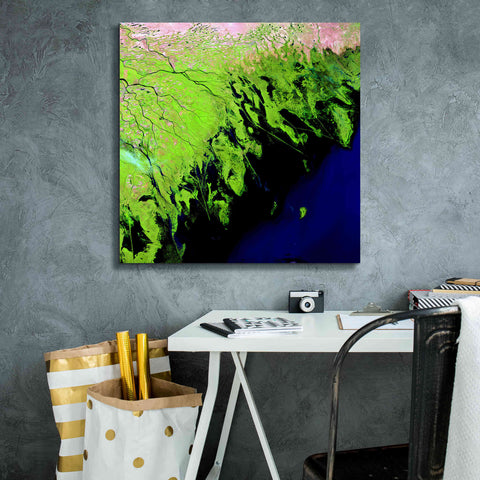 Image of 'Earth as Art: Volga River Delta' Canvas Wall Art,26 x 26