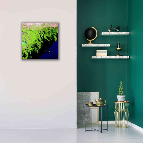 Image of 'Earth as Art: Volga River Delta' Canvas Wall Art,26 x 26