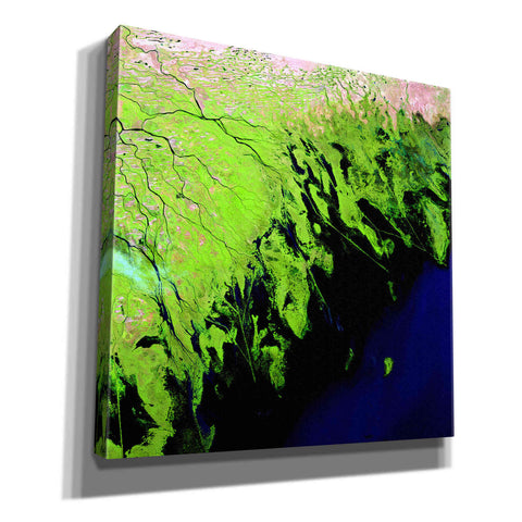 Image of 'Earth as Art: Volga River Delta' Canvas Wall Art