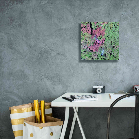 Image of 'Earth as Art: Yellowknife Wetlands' Canvas Wall Art,12 x 12
