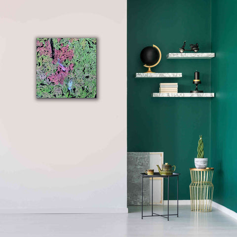 Image of 'Earth as Art: Yellowknife Wetlands' Canvas Wall Art,26 x 26