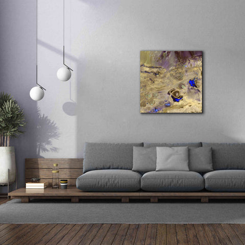 Image of 'Earth as Art: Great Salt Desert' Canvas Wall Art,37 x 37