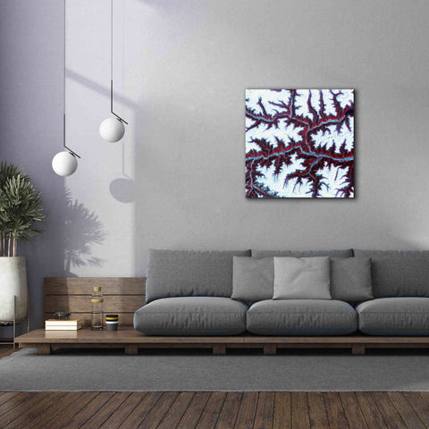 Image of 'Earth as Art: Himalayas ' Canvas Wall Art,37 x 37