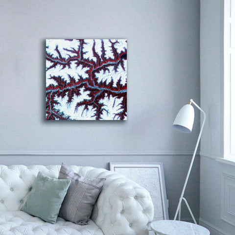 Image of 'Earth as Art: Himalayas ' Canvas Wall Art,37 x 37