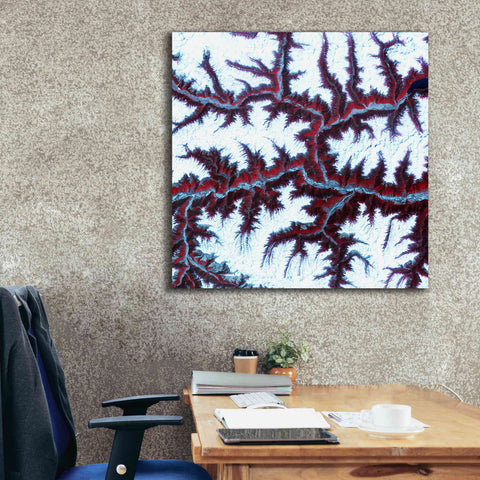 Image of 'Earth as Art: Himalayas ' Canvas Wall Art,37 x 37
