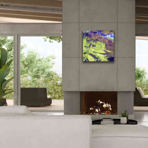 Image of 'Earth as Art: Lake Amadeus' Canvas Wall Art,26 x 26