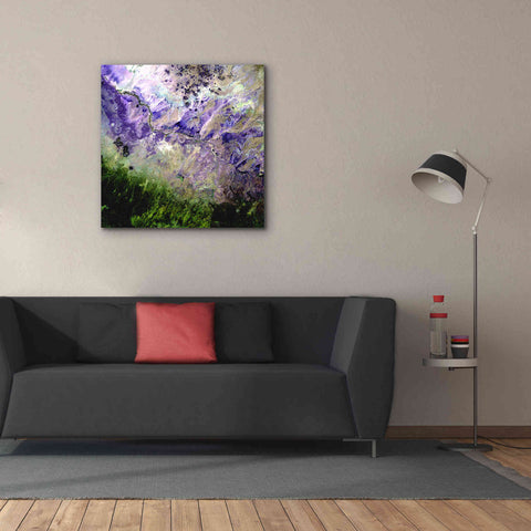 Image of 'Earth as Art: Desert to Forest,' Canvas Wall Art,37 x 37