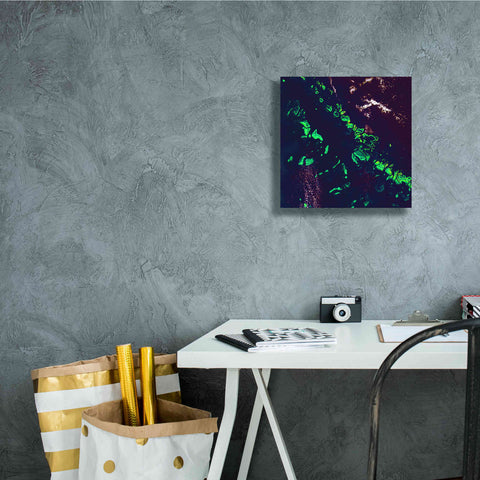 Image of 'Earth as Art: Great Barrier Reef,' Canvas Wall Art,12 x 12