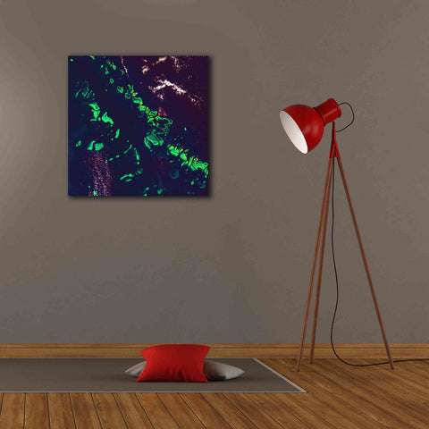 Image of 'Earth as Art: Great Barrier Reef,' Canvas Wall Art,26 x 26