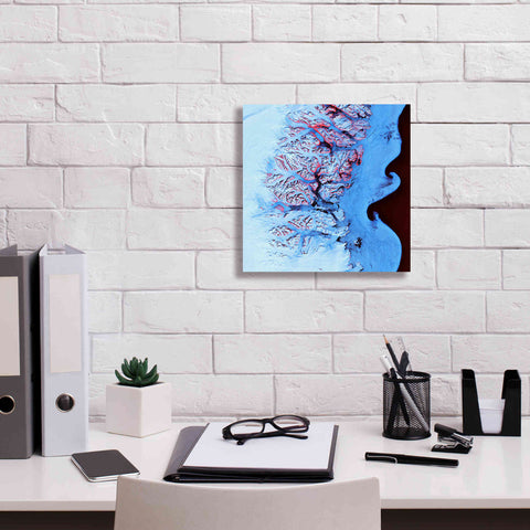 Image of 'Earth as Art: Ice Waves,' Canvas Wall Art,12 x 12