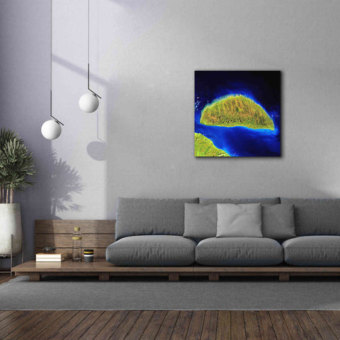 Image of 'Earth as Art: Island Rebound,' Canvas Wall Art,37 x 37