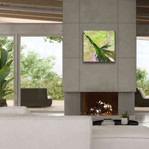 Image of 'Earth as Art: Okavango Delta,' Canvas Wall Art,26 x 26