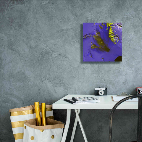 Image of 'Earth as Art: Koettlitz Glacier,' Canvas Wall Art,12 x 12