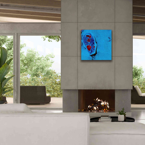 Image of 'Earth as Art: Cellular Ice,' Canvas Wall Art,26 x 26