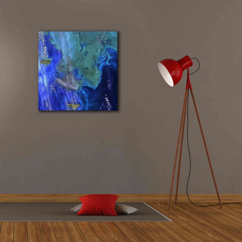 Image of 'Earth as Art: Earth's Aquarium,' Canvas Wall Art,26 x 26