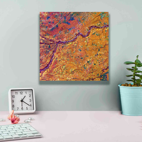 Image of 'Earth as Art: Capillaries,' Canvas Wall Art,12 x 12