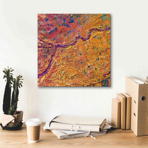 Image of 'Earth as Art: Capillaries,' Canvas Wall Art,18 x 18